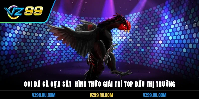 Coi đá gà cựa sắt